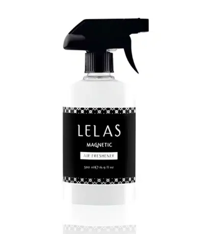 Magnetic Air Freshener